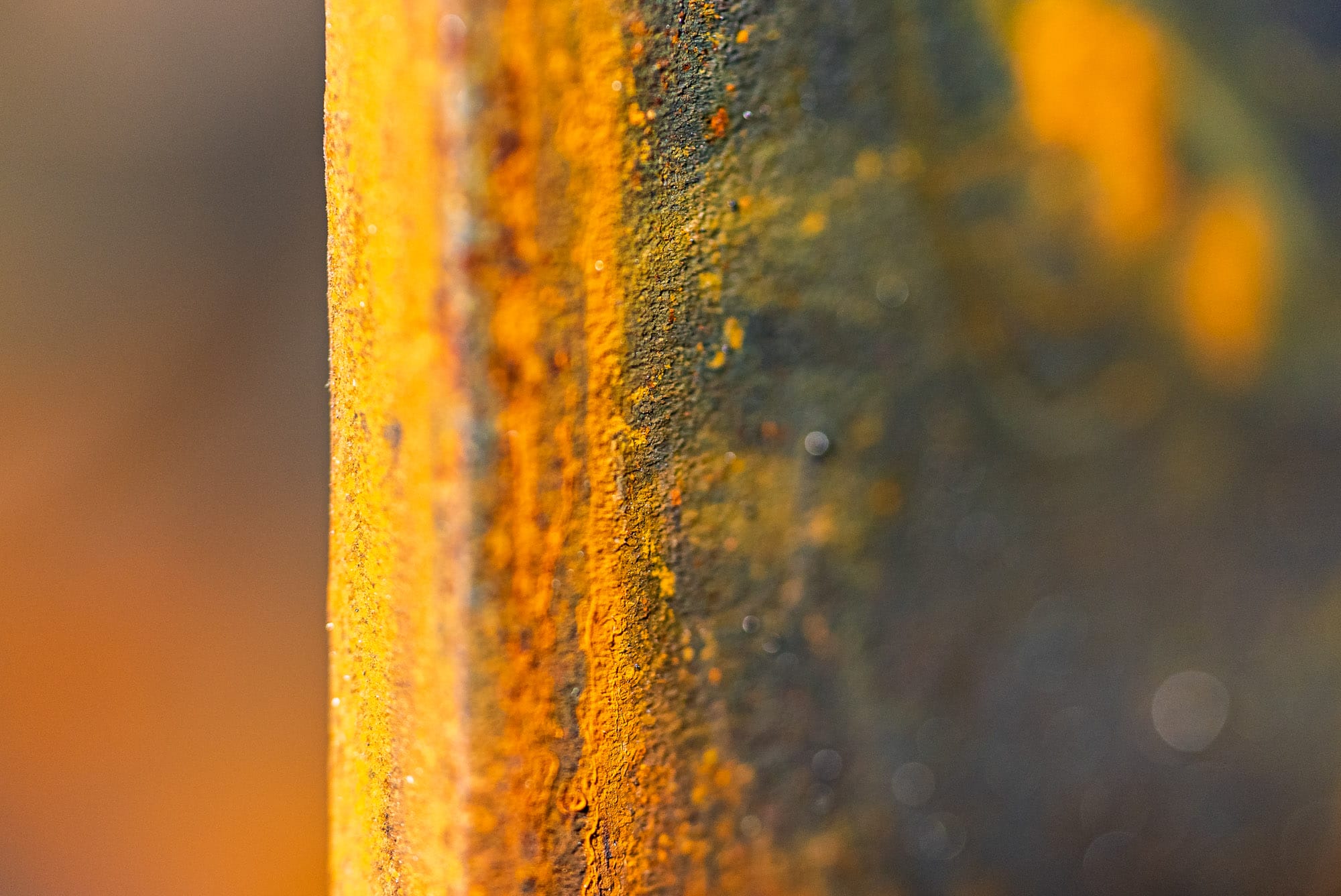 Close-up of rusty metal surface texture